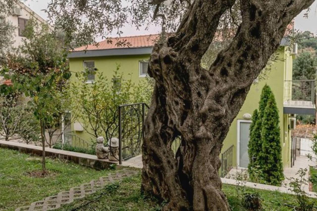 Olive Garden Apartment Petrovac Exterior foto